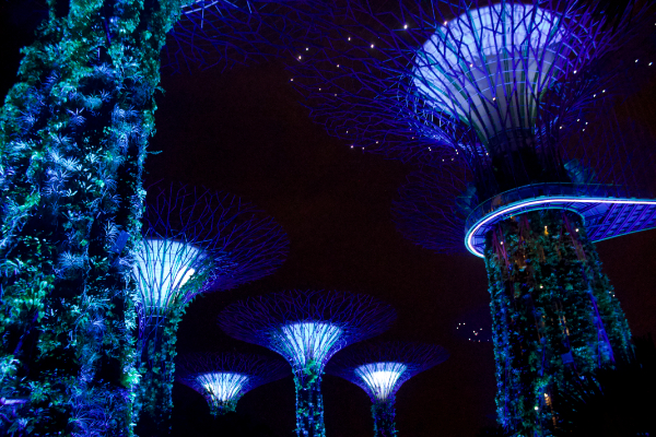 Gardens by the Bay