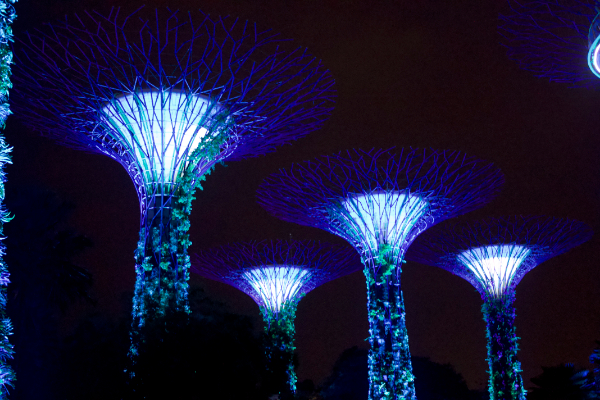 Gardens by the Bay