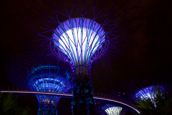 Gardens by the Bay